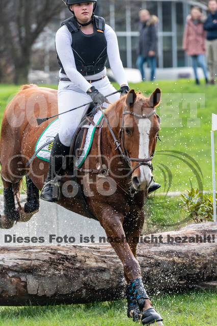 Goldene Schärpe 2020 - Pferde