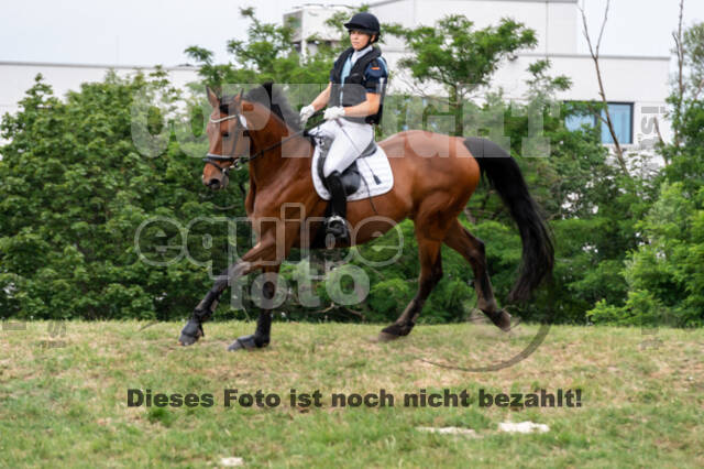 Late-Entry-Vielseitigkeit Langenfeld (11.+13./14.06.2020)