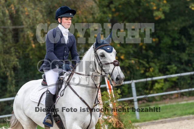 Goldene Schärpe 2020 - Pferde