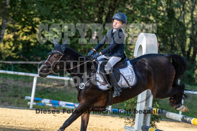 RFV Dinslaken-Hiesfeld (Herbstturnier)