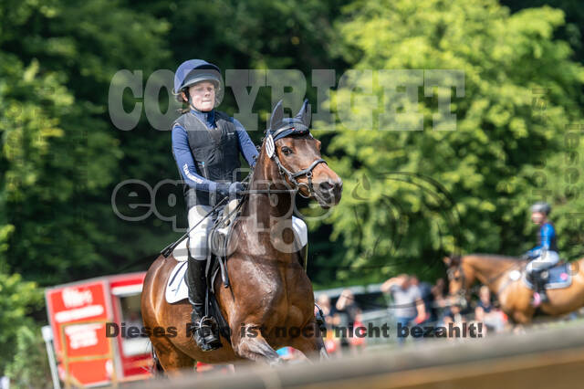 Goldene Schärpe 2021 - Ponys