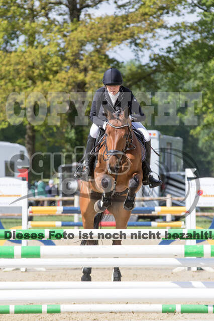 Sterne über Münster 2019 - CCI***S