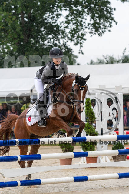 Goldene Schärpe 2021 - Ponys