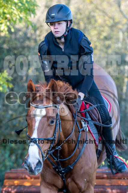 Vielseitigkeitslehrgang mit Jürg Kurbel (9.+10.11.2019)