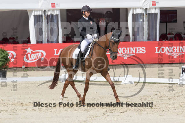 FEI European Championship Eventing 2017