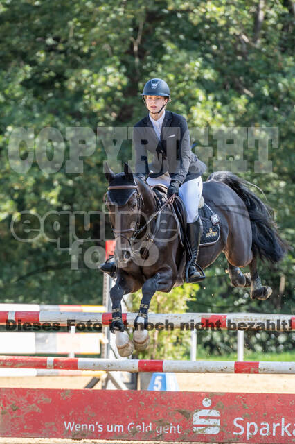 RFV Dinslaken-Hiesfeld (Herbstturnier)