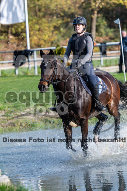 IGV Lehrgang der Sieger der Cups mit Frank Ostholt