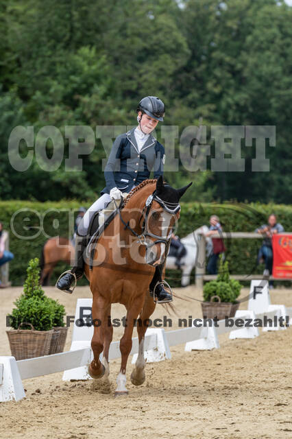 Goldene Schärpe 2021 - Ponys