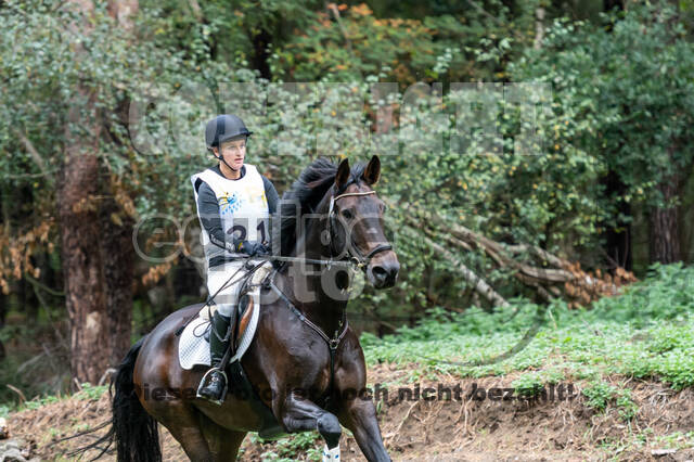 Vielseitigkeit RSV Wesel Obrighoven (26.+27.09.2020)