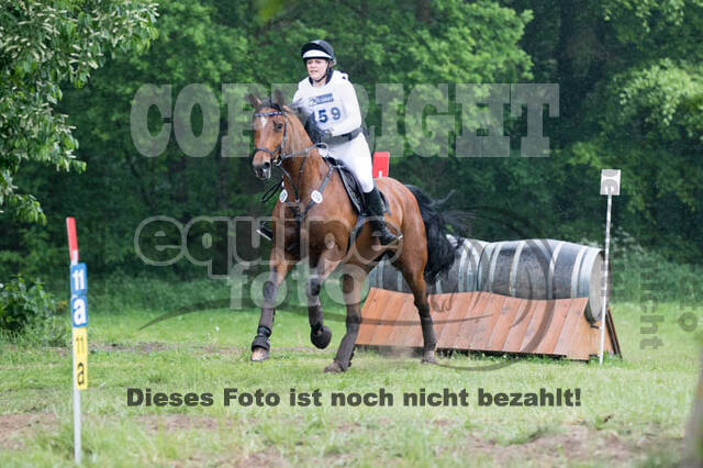 Vielseitigkeitsturnier ZRFV von Lützow Hamminkeln
