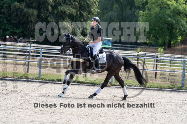 Late-Entry-Vielseitigkeit Langenfeld (11.+13./14.06.2020)