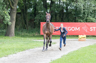 FEI European Championship Eventing 2017