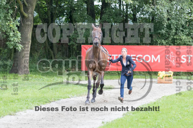 FEI European Championship Eventing 2017