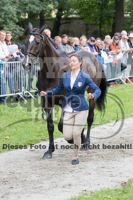 FEI European Championship