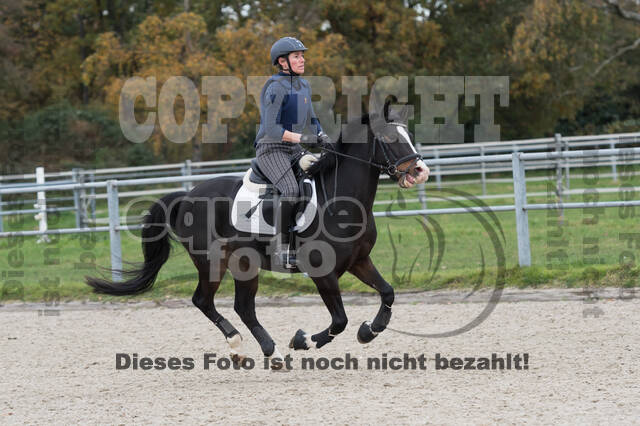 IGV Lehrgang der Sieger der Cups mit Frank Ostholt