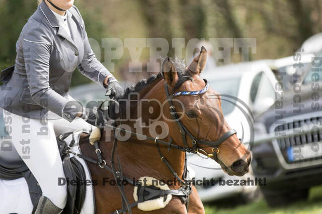 Frühjahrsvielseitigkeit RV Seydlitz Kamp