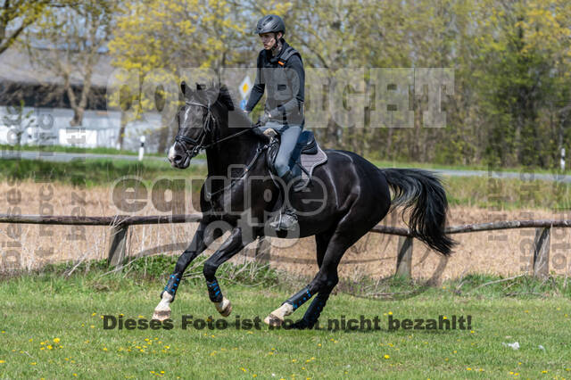 Geländetraining ZRFV Hamminkeln (24+25.04.2021)