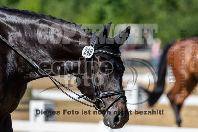 Westerstede Horse Trials 2021