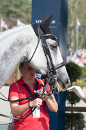 FEI European Championship Eventing 2019