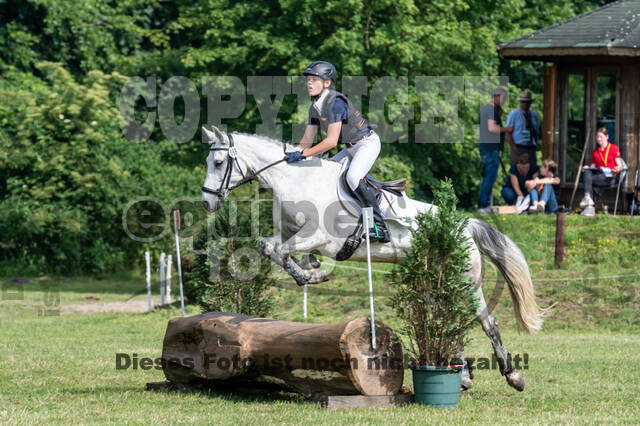 Goldene Schärpe 2021 - Ponys