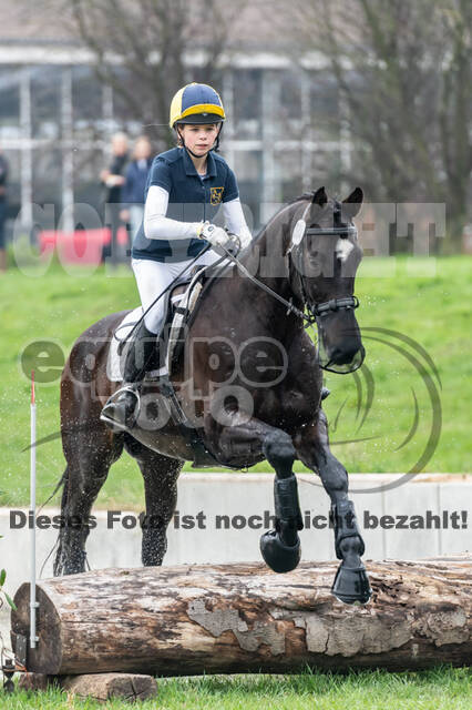 Goldene Schärpe 2020 - Pferde