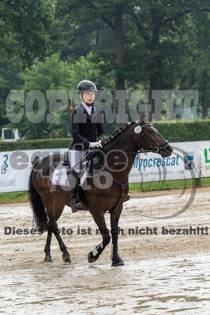 Goldene Schärpe 2021 - Ponys