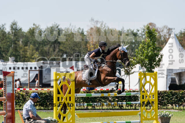 Kronenberg - De Peelbergen (August 2020)