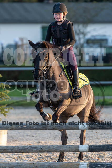 IGV Lehrgang der Sieger der Cups mit Frank Ostholt