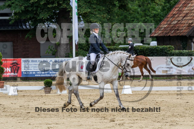 Goldene Schärpe 2021 - Ponys