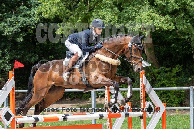 Late-Entry-Vielseitigkeit Langenfeld (06.+07.07.2020)