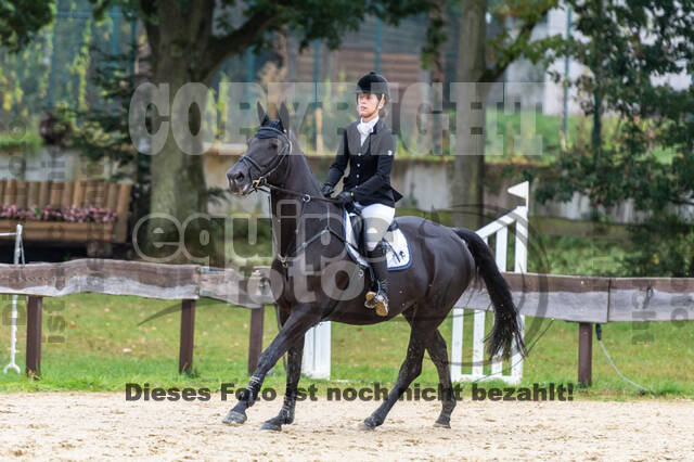 Vielseitigkeit RSV Wesel Obrighoven (26.+27.09.2020)