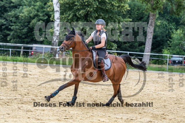 Hunter Geländetraining 10.07.2021 (Sonsbeck)