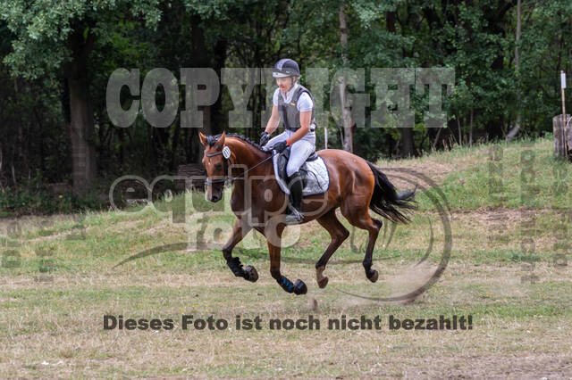 Late-Entry Vielseitigkeit Hamminkeln/Wesel (01.+02.08.2020)