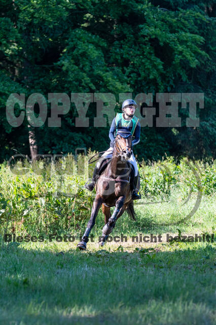 Westerstede Horse Trials (10.-13.06.2021)