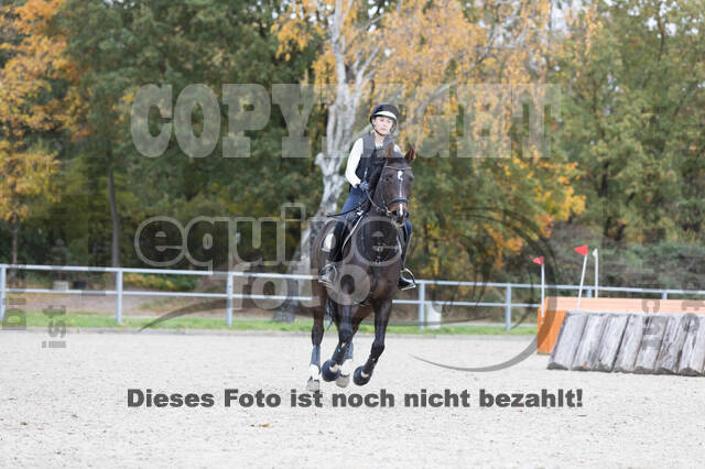 IGV Lehrgang der Sieger der Cups mit Frank Ostholt