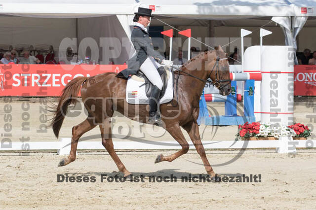 FEI European Championship Eventing 2017