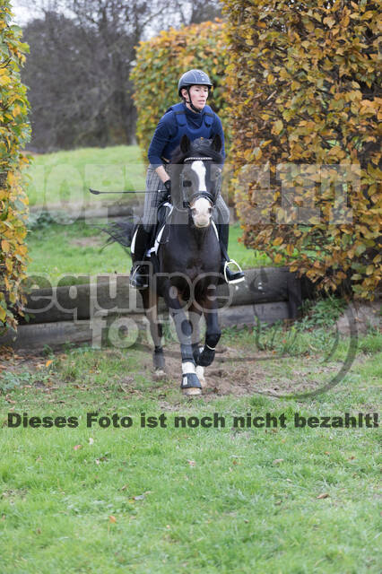 IGV Lehrgang der Sieger der Cups mit Frank Ostholt