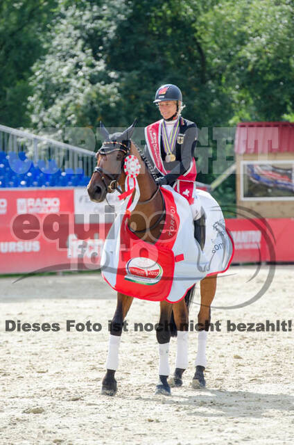 FEI European Championship Eventing 2017