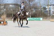 Eventing Langenfeld 2018