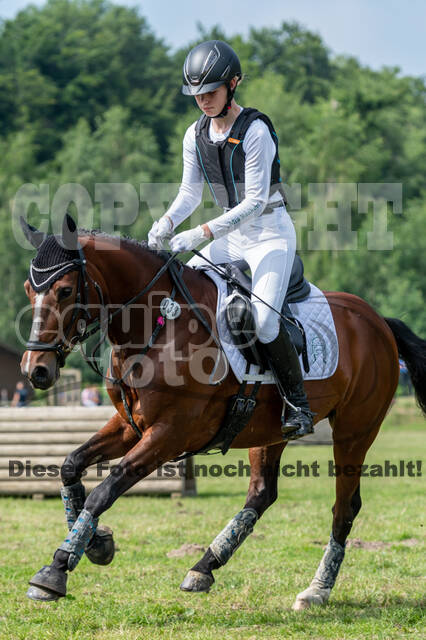 Goldene Schärpe 2021 - Ponys