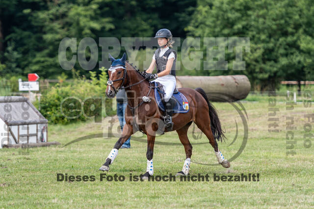 Goldene Schärpe 2021 - Ponys