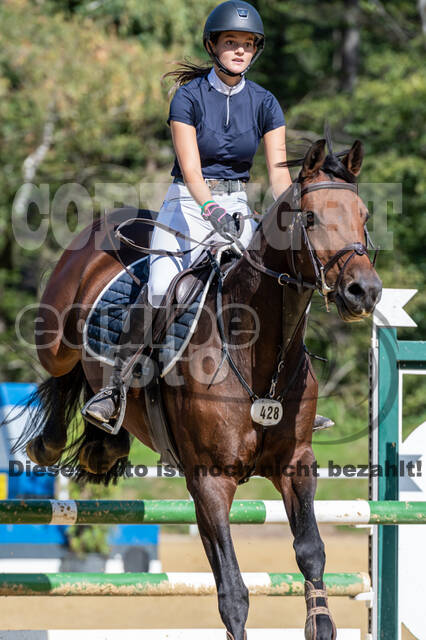 RFV Dinslaken-Hiesfeld (Herbstturnier)