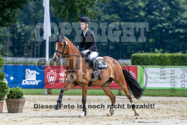 Goldene Schärpe 2021 - Ponys