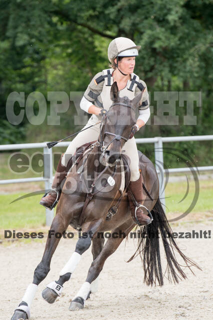 Eventing im Pferdesportzentrum Rheinland