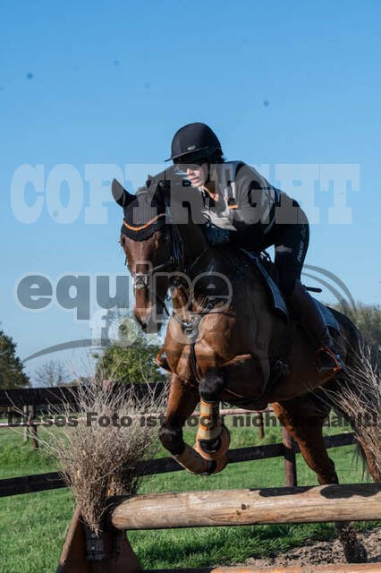 Vielseitigkeitslehrgang mit Jürg Kurbel (9.+10.11.2019)
