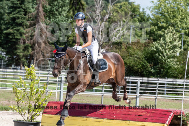 Late-Entry-Vielseitigkeit Langenfeld (06.+07.07.2020)