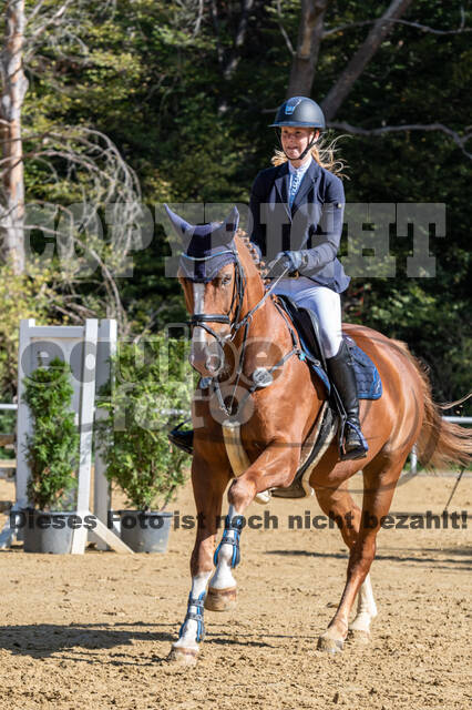 RFV Dinslaken-Hiesfeld (Herbstturnier)