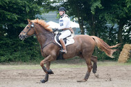 Vielseitigkeitsturnier ZRFV von Lützow Hamminkeln