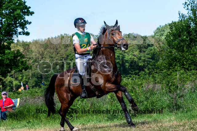 Westerstede Horse Trials (10.-13.06.2021)