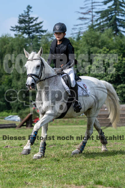 Goldene Schärpe 2021 - Ponys